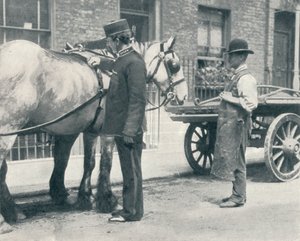 RSPCA inspecteur onderzoekt een paard, c1903 1903