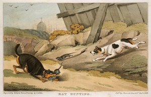 Rattenjacht, 1823