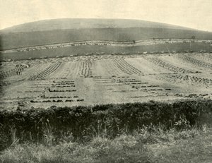 Maaier & Binder Competitie, Mount Blowhard, nabij Ballarat, 1901 door Unbekannt