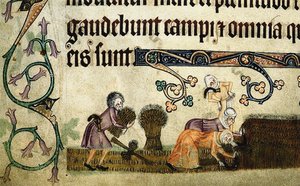 Maaien en schoven binden uit de Luttrell Psalter, ca 1330