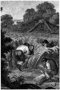 Oogsten met sikkels en het binden van de schoven, Engeland
