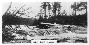 Red Pine Chute, Canada, ca. 1920s door Unbekannt