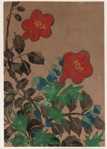 Rode en blauwe bloemen en loof