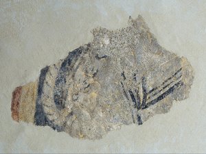 Resten van een viervoeter van Sant Joan de Boí