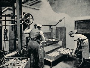 Koekjes uit de oven halen