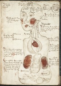 Weergave van een Aristoteliaanse Theorie van Bewustzijn Uit: De corpore et anima