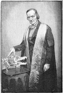 Richard Owen, Britse natuuronderzoeker, ca. 1856 1891 door Unbekannt