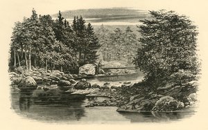Rivierscène, Langdale, c1890