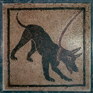 Romeins mozaïek van een hond, 1e eeuw