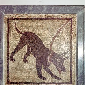 Romeins mozaïek van hond, Cave Canem, Pompeii, Italië door Unbekannt