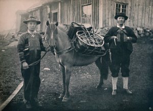 Saetersdalen Hooglanders met pakpaard, 1914 door Unbekannt