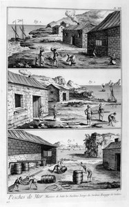 Zouten, wassen, inpakken van sardines, 1751-1777 door Unbekannt