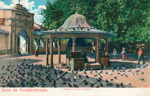 Salut de Constantinople - Duiven in de binnenplaats van Eyoub, ca. 1900