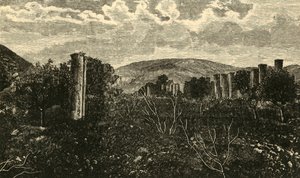 Samaria