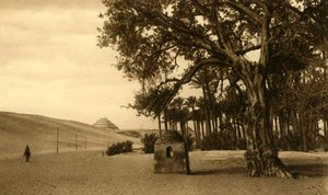 Saqqara - De trappiramide gezien vanaf de Sycomore, ca. 1918-ca. 1939 door Unbekannt