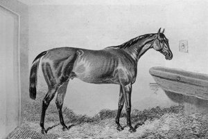Saucebox, ca. 1840-1880, 1911