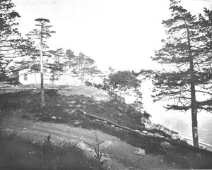 Savin Rock, New Haven, Connecticut, VS, ca. 1900 door Unbekannt