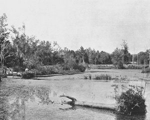 Scène in Mississippi, VS, ca. 1900