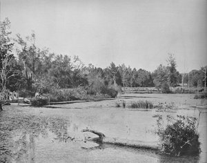 Scène in Mississippi