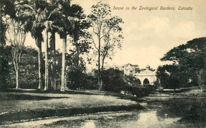 Scène in de Dierentuin van Calcutta