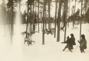 Zweden. Samen bij het vangen van een rendier. Omstreeks 1900 door Unbekannt