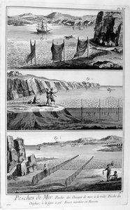 Zeevissen, 1751-1777 door Unbekannt