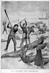 Zeehondenjacht, Newfoundland, 1902 door Unbekannt