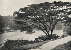 Meer, Tempel van de Heilige Tand en Bibliotheek in Kandy, gezien vanaf de Victoria-Drive naar het oosten, 192