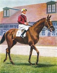 Senor, Jockey: J. Crouch, 1939 door Unbekannt