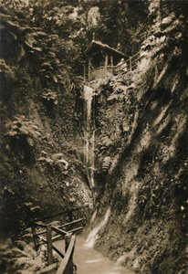 Shanklin Chine, I.W., ca. 1920