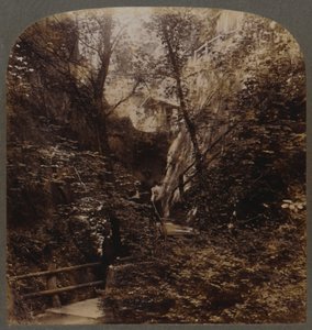 Shanklin Chine van Wereldwijde Faam, Isle of Wight, Engeland