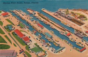 Garnalen Vloot Docks, Tampa, Florida, 1940s door Unbekannt