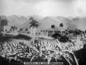 Sierra de los Organos, 1896, 1920s