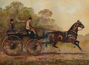 Enkelspan Phaeton paard Columbine. Eigendom van Charles Baynes Esq., 1872, c1879 door Unbekannt