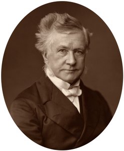 Sir Robert Lush, rechter van het Hooggerechtshof, 1881