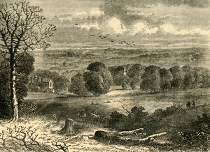 Locatie van het Crystal Palace in 1852, ca. 1878
