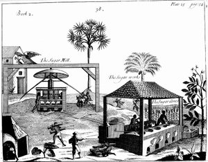 Slavenarbeid op een suikerplantage in West-Indië, 1725