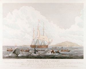Zuidzee Walvisvangst, 1825