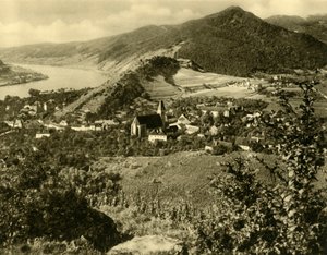 Spitz an der Donau, Wachau, Neder-Oostenrijk, c1935 door Unbekannt