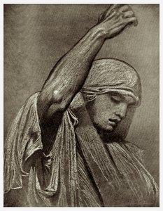 Studie, 1901