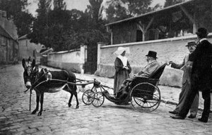 Sully Prudhomme, Franse dichter, 1905