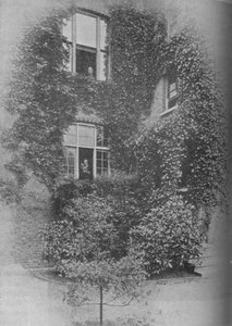 Zomer bij The Pines, c1909 door Unbekannt