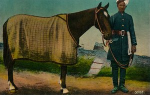 Syce, ca. 1910 door Unbekannt