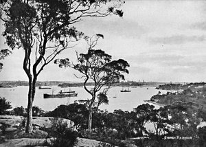 Sydney Harbour, vanaf Cremorne Point, ca. 1900 door Unbekannt