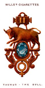 Stier, 1923