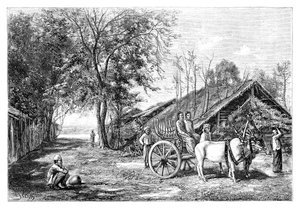 Tenasserim, Myanmar, 1895 door Unbekannt