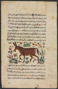 Tekstpagina, Perzische Proza Recto, Khar Ass Verso, 1400s door Unbekannt