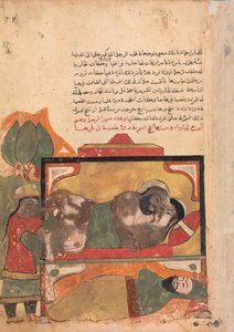 De asceet ziet de vrouw die de minnaar probeert te vergiftigen, Folio uit een Kalila..., 18e eeuw