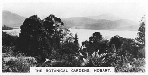 De Botanische Tuinen, Hobart, Tasmanië, 1928 door Unbekannt