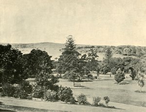 De Botanische Tuinen van Sydney, 1901 door Unbekannt
